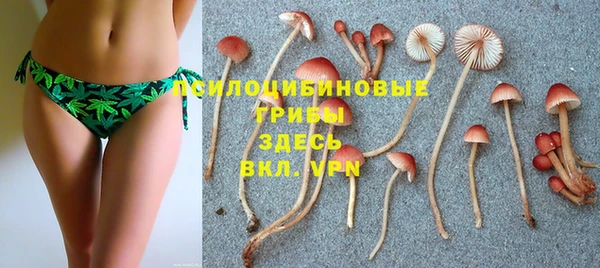 прущие крисы Покровск